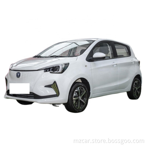 2023 Νέα έκδοση Changan Benben E-Star Range 310km Πλήρης έκδοση Χαμηλή τιμή υψηλής ποιότητας ηλεκτρικό αυτοκίνητο Κίνα